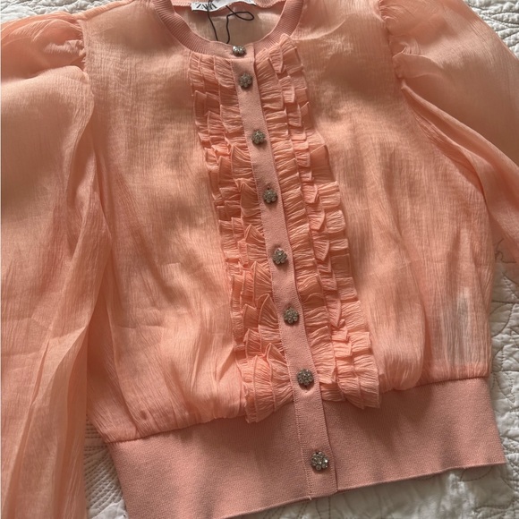 ZARA Sheer Blush Blouse | Crystal Flower Buttons Knit Waist /Romantic - Picture 7 of 10
